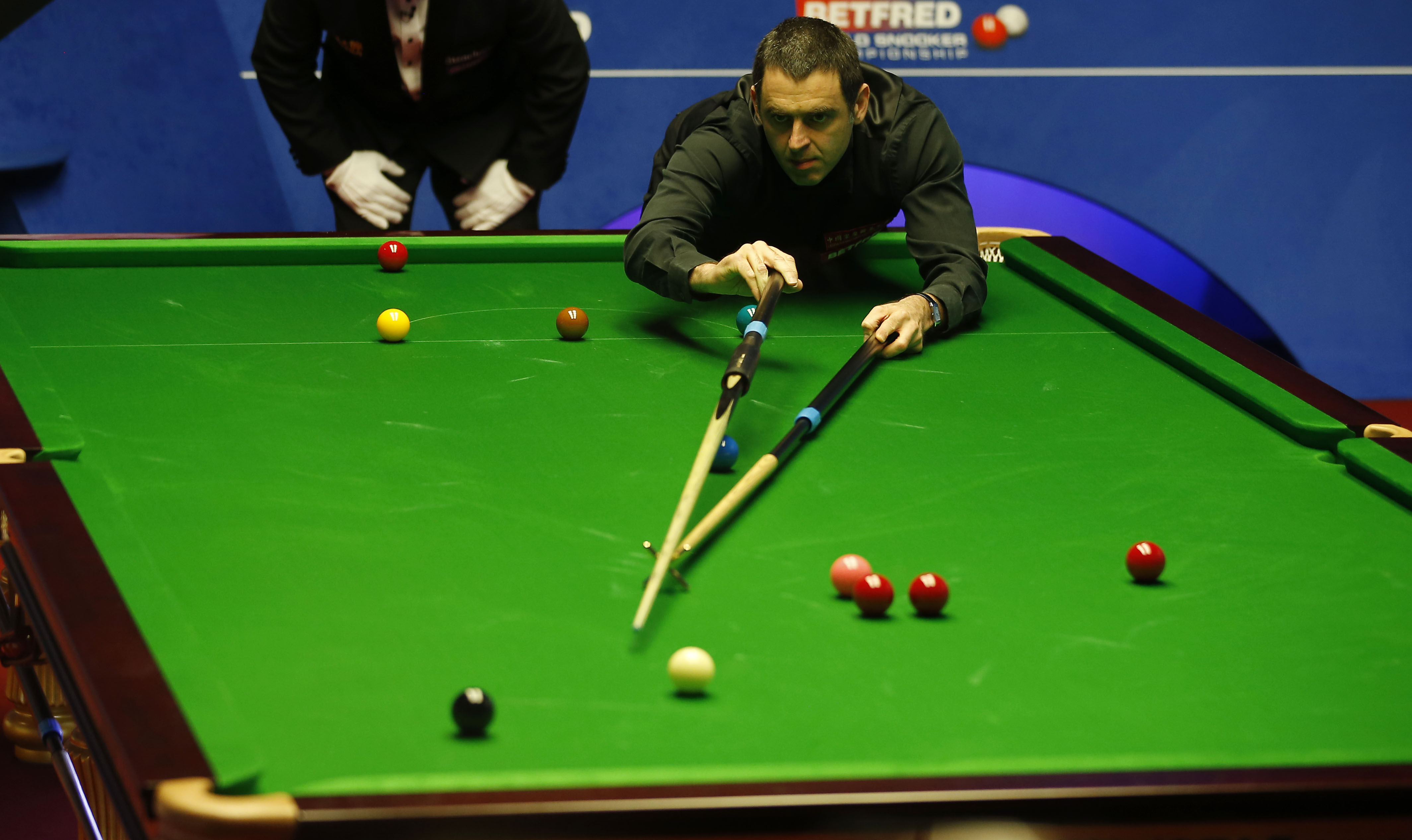 再为这篇文 再为这篇文