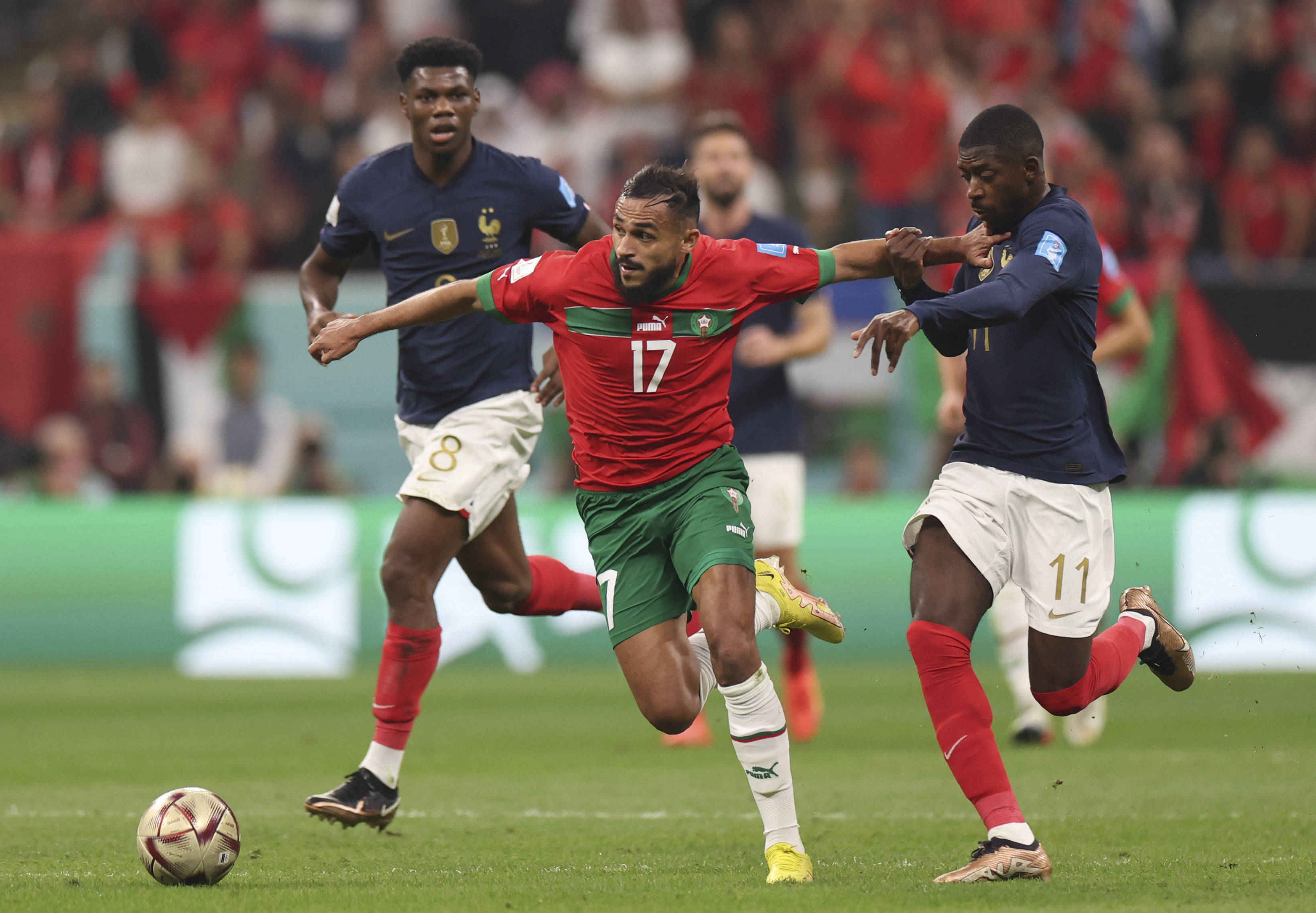 他们的期待 他们的期待